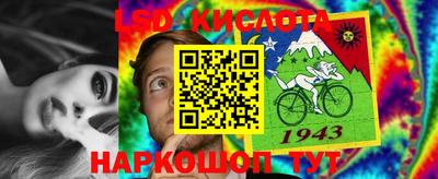 дмт Гай