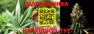 альфа пвп Гатчина
