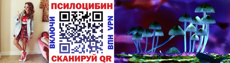мориарти как зайти  Кировск  Псилоцибиновые грибы мицелий 