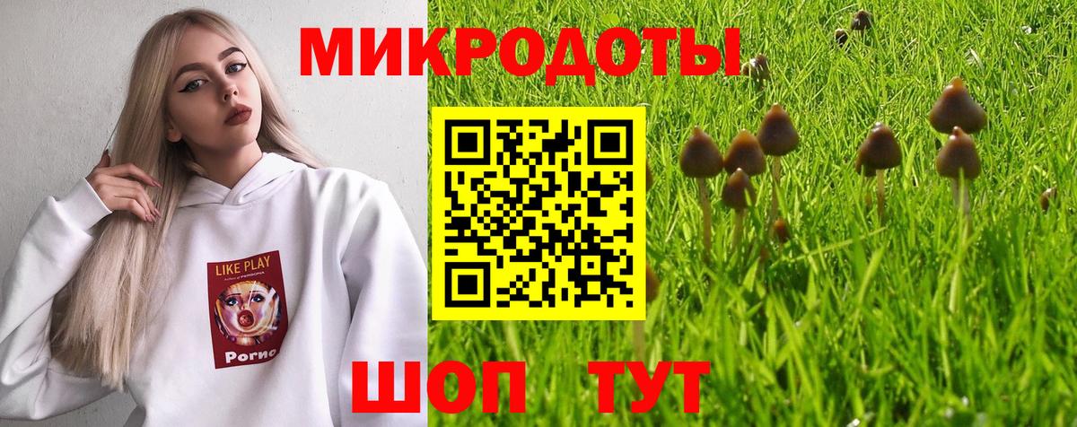 что такое   Псилоцибиновые грибы Psilocybine cubensis  Вход с VPN  Кировск 