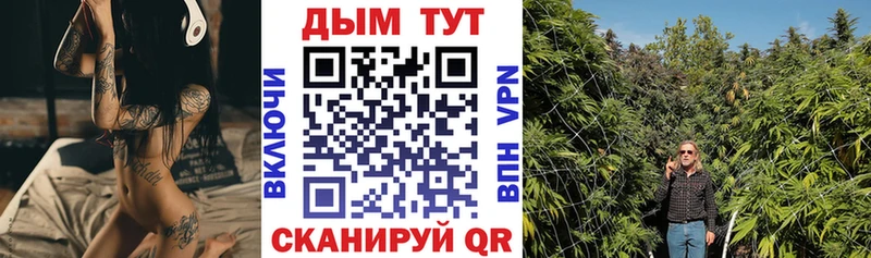 Каннабис гибрид  Кировск 